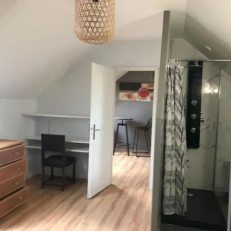 Chez Chris Appartement Oloron-Sainte-Marie Buitenkant foto