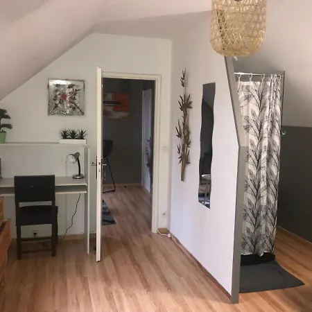 Chez Chris Appartement Oloron-Sainte-Marie Buitenkant foto