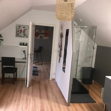 Chez Chris Appartement Oloron-Sainte-Marie Buitenkant foto